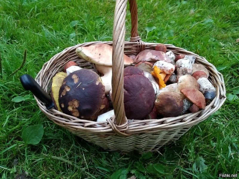 Меряться, так меряться:)