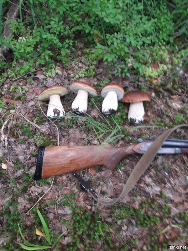 Большое Простите за утренний фото