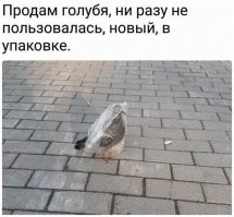 Этих отражений не должно было быть. Всему виной случайность