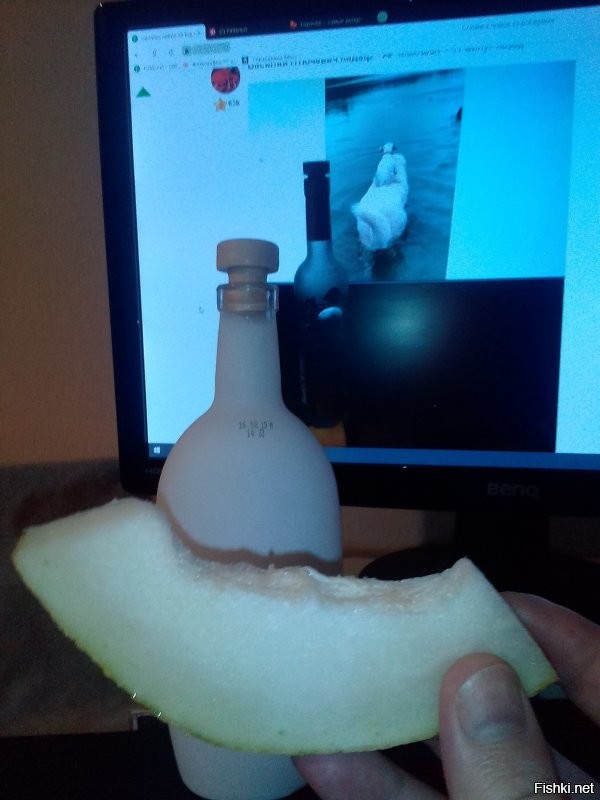 Мы плывём на льдине,