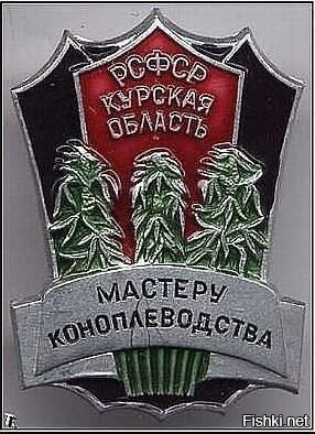 Солянка от 14.08.2020