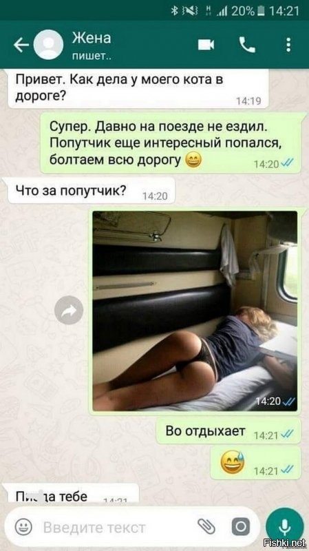 Прекрасные попутчицы из поездов дальнего следования, которым не свойственны комплексы