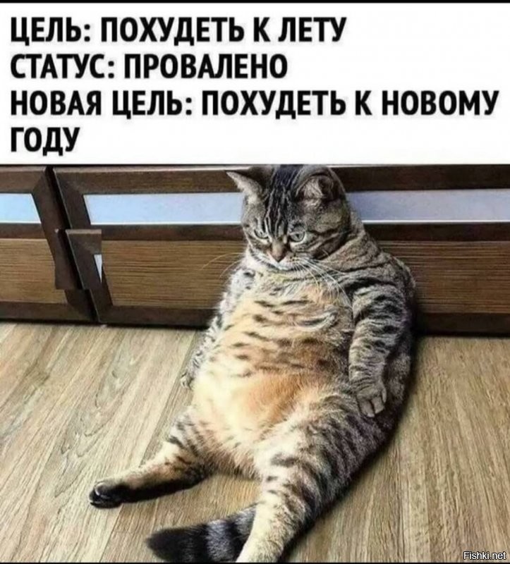 Солянка от 14.08.2020