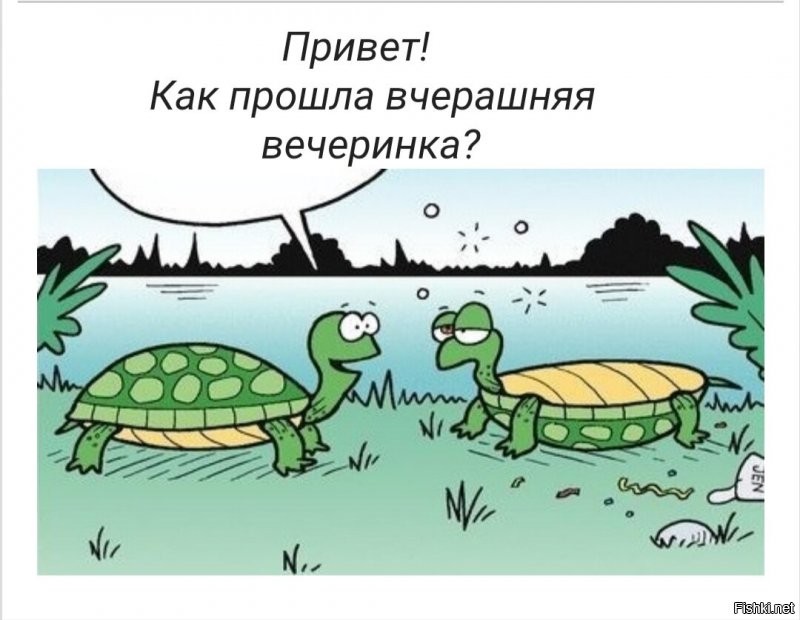 Солянка от 14.08.2020