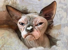 "Чирико - вечно недовольная кошка из Японии"
=================
Т.е. про сфинксов в Японии не в курсе?