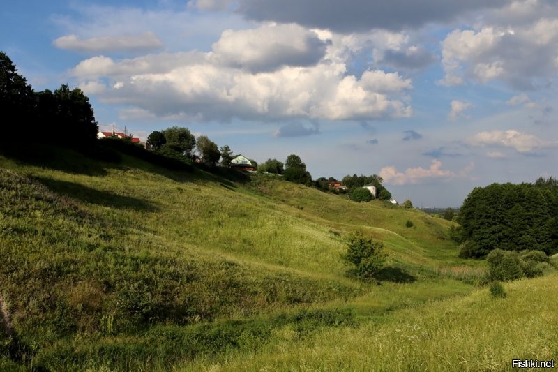 Овражно-холмистая топологическая структура местности.