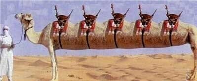 17 забавных панорамных кадров, во время съемки которых что-то пошло не так