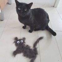 Заказчик остался не очень довольным...