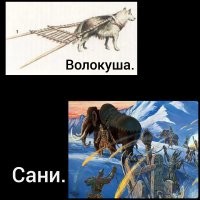 Две палки, привязанные к мамонту, ну или к собаке, это не сани, а волокуши.