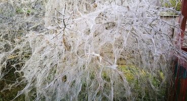 Типа такого: