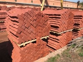 Биолог нашёл в рыбе реальный прототип «Чужого»
