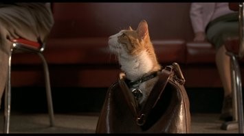 Я так и знал!