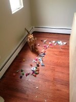 Я нашёл где он прячет заначки.