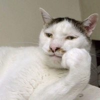 У неё внутренние переживания.