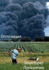 Прикольные и смешные картинки