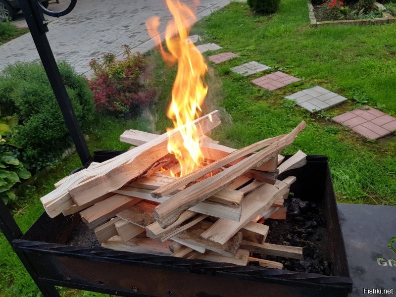 Ребеночки приехали