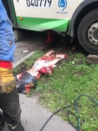 Почему минусят то, что должно как должное восприниматься? Не понимаю..... Ну вот фото намотанной на передний мост автобуса, 60 летней женщины. Это которую в Люблино тетка за рулём автобуса тащила по газонам и ей же выкорчеввывала бордюрные камни. Ну вот. Кстати, большая часть головы осталась висеть на переднем мосту....  Ну а я руку разрубил, в детстве... Ну и чего? Зажило же? Что не скажешь о этой тётке из под автобуса... Тьфу... Слабаки вы...