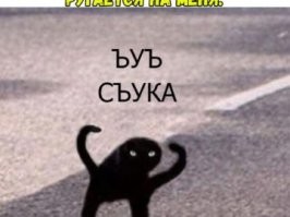 Прикольно 
Белые идут!