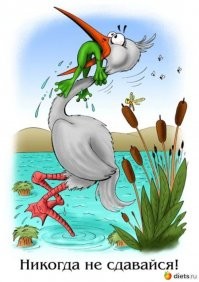 В невероятной битве крохотная ласка победила цаплю