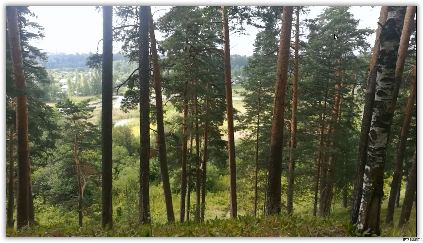 Прям как у нас в городском парке.
