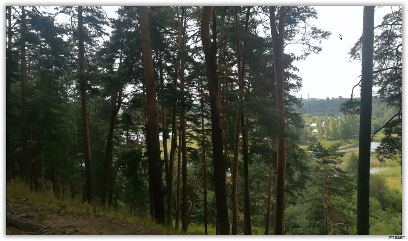 Прям как у нас в городском парке.