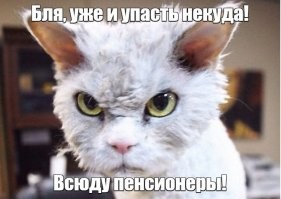 Пенсионер лишился чувств ощутив на себе внезапный удар кошкой: видео