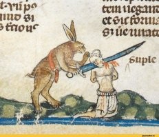 С зайцами и раньше было не всё чисто.