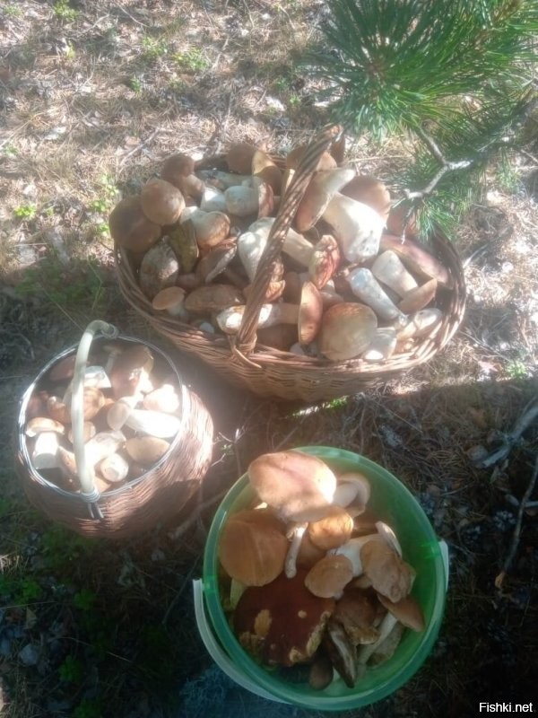 Доброе утро