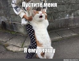 Прикольные и смешные картинки