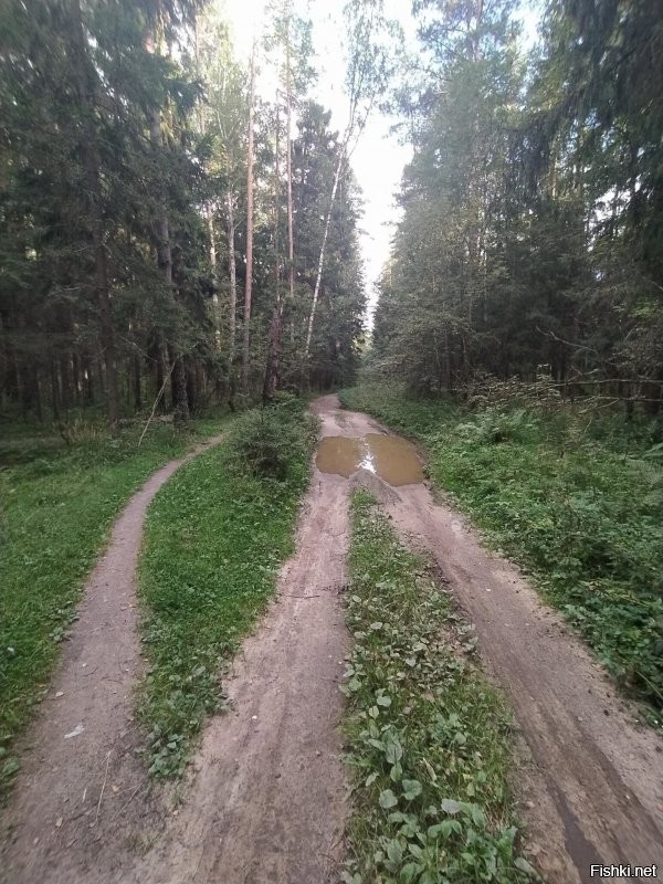 Солянка от 16.08.2020