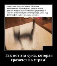 Вот это более значимая и важная проблема!