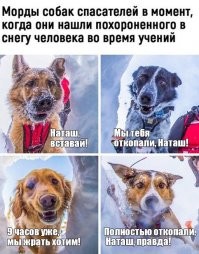 Прикольные и смешные картинки