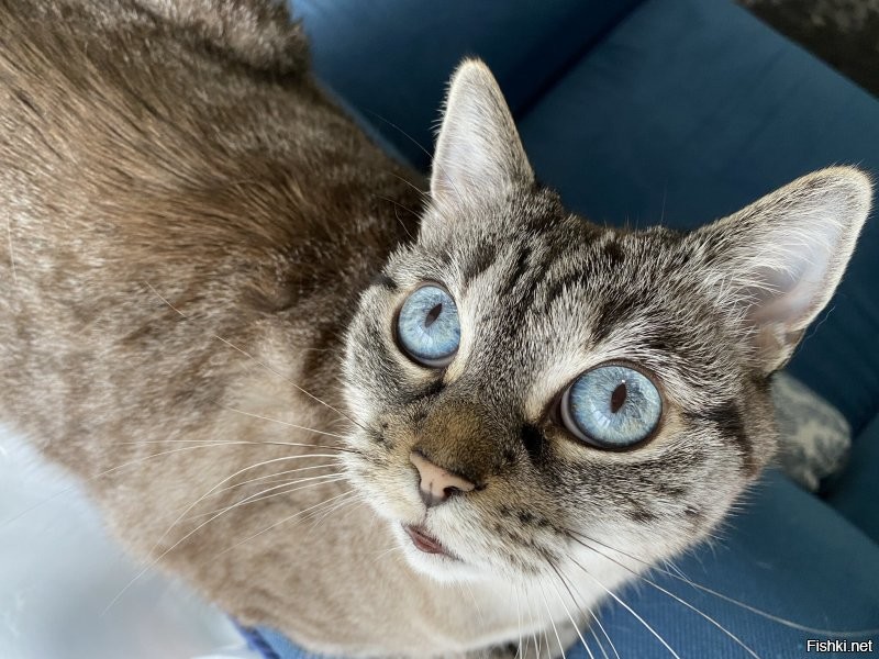 Солянка от 16.08.2020