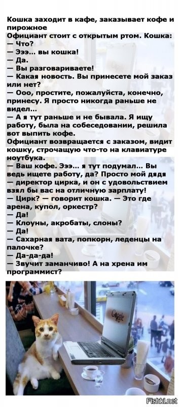 Солянка от 16.08.2020
