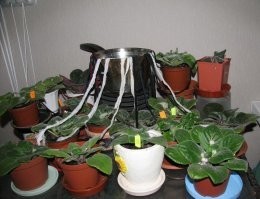 Для полива вот проверенная система, проще чем бутылки втыкать)