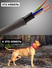 А это специально для вас