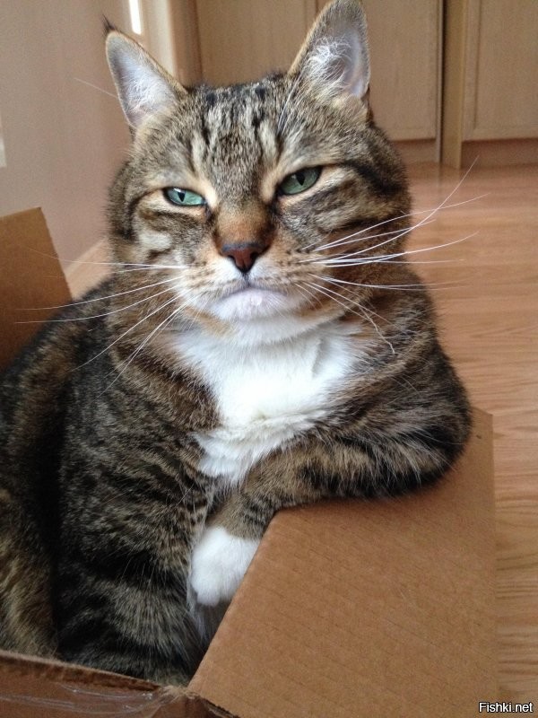 А мне эти нравятся. И по моему не хуже.