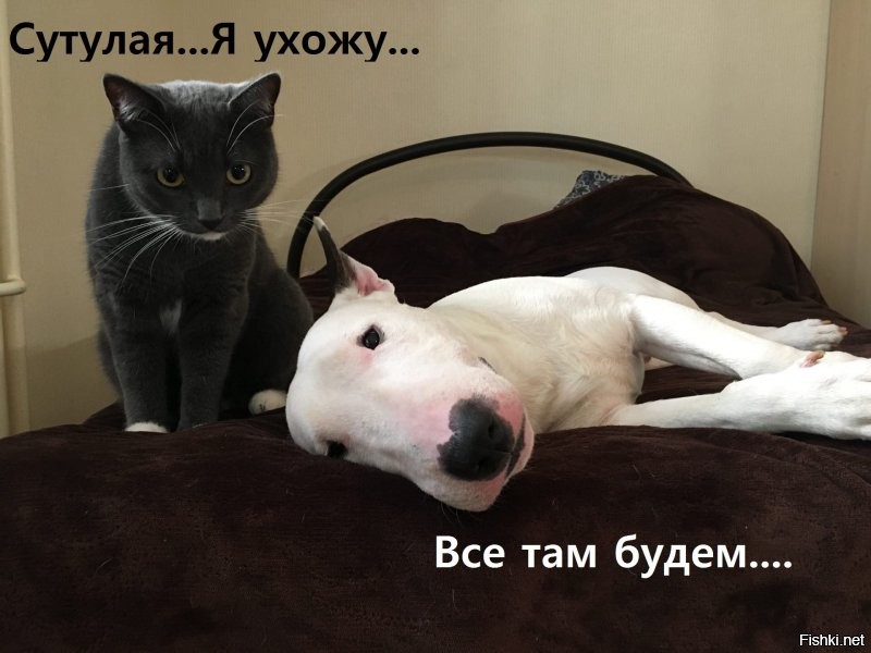 я тоже ухожу