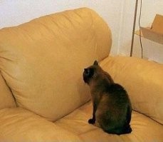 Очень интересно