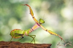 Да он же пьяный! :)