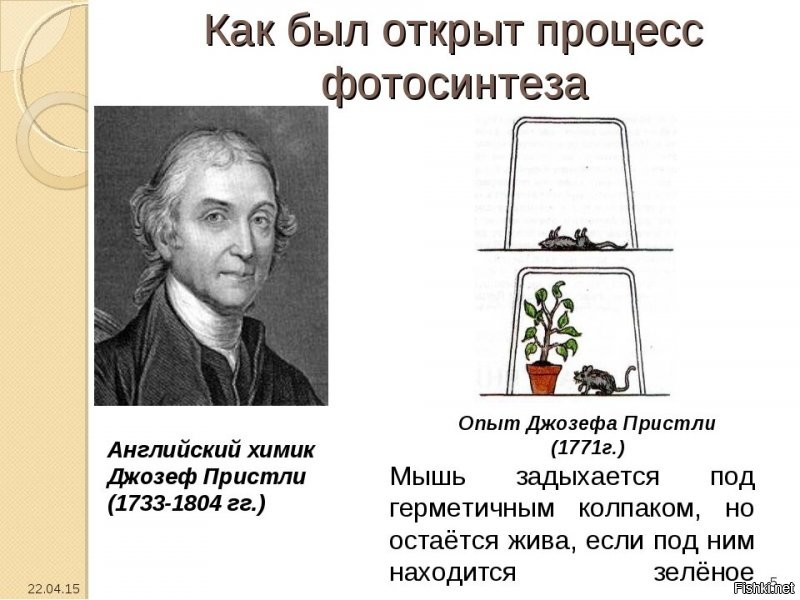 Солянка от 17.08.2020
