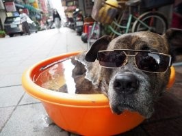 Фотоподборка