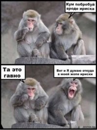 Картинки с надписями