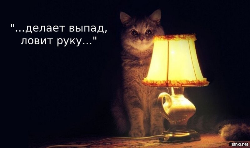 Тянешся рукой к магнитоле...
А тут выпад и блокировка...
Какой быстрый мух...