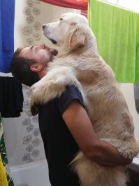 Почти не изменился...