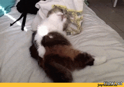 Солянка от 17.08.2020