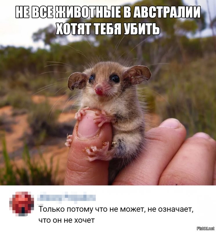 Солянка от 17.08.2020