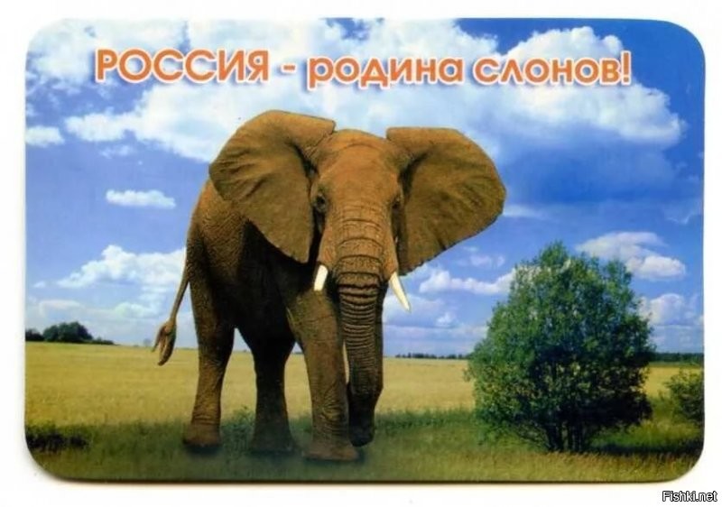 Солянка от 18.08.2020