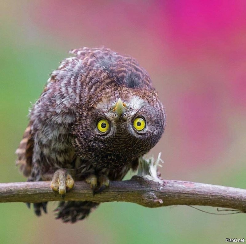 Солянка от 18.08.2020