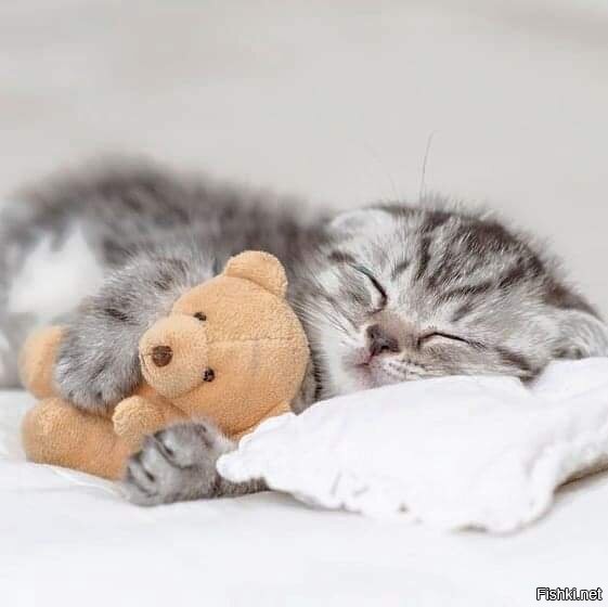 Солянка от 18.08.2020